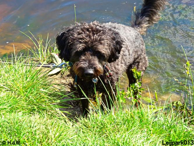 Leijpark013 Beestenboel 7 mei 2021 