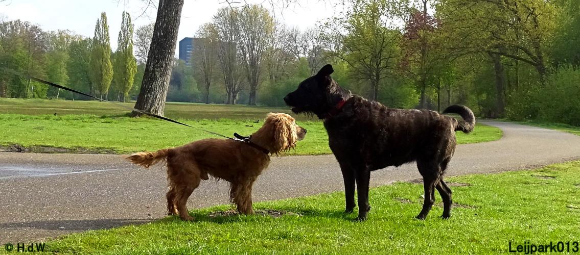 Leijpark013 Beestenboel 7 mei 2021 
