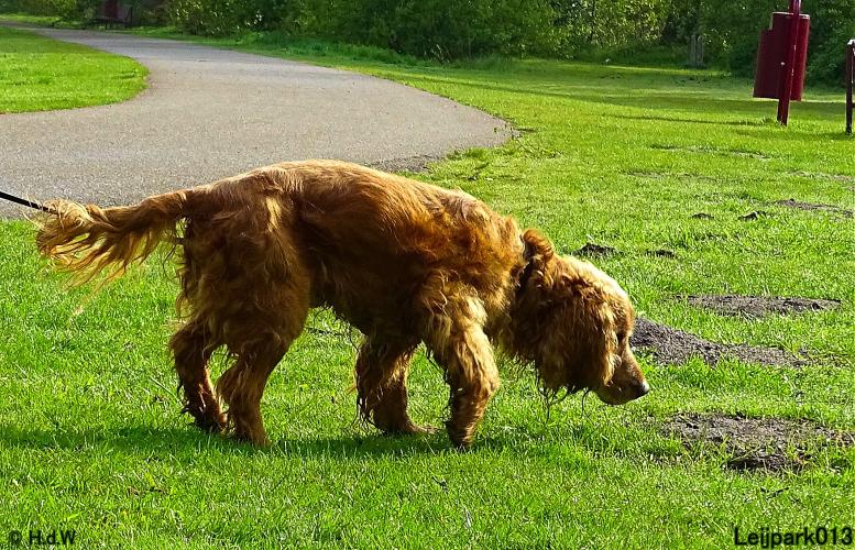 Leijpark013 Beestenboel 7 mei 2021 