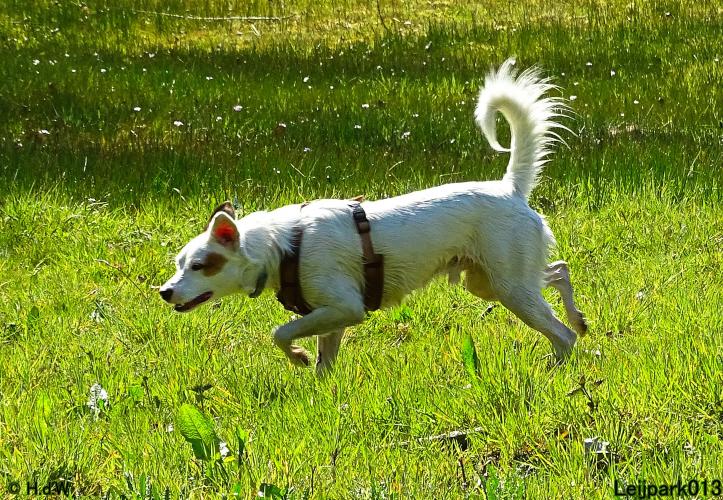Leijpark013 Beestenboel 7 mei 2021 