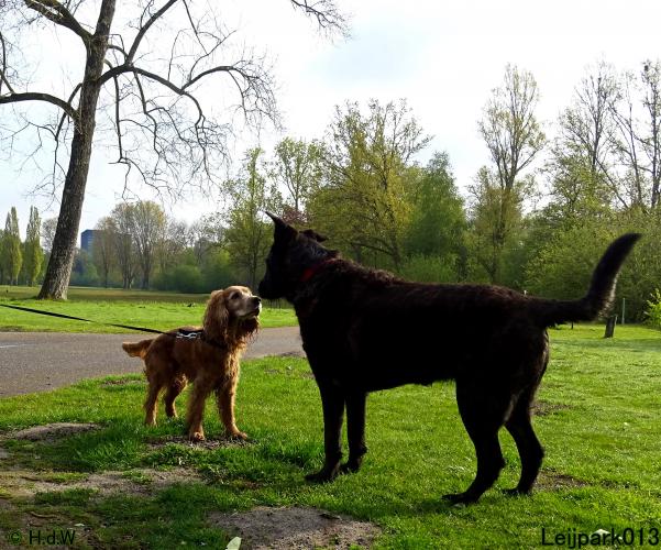 Leijpark013 Beestenboel 7 mei 2021 