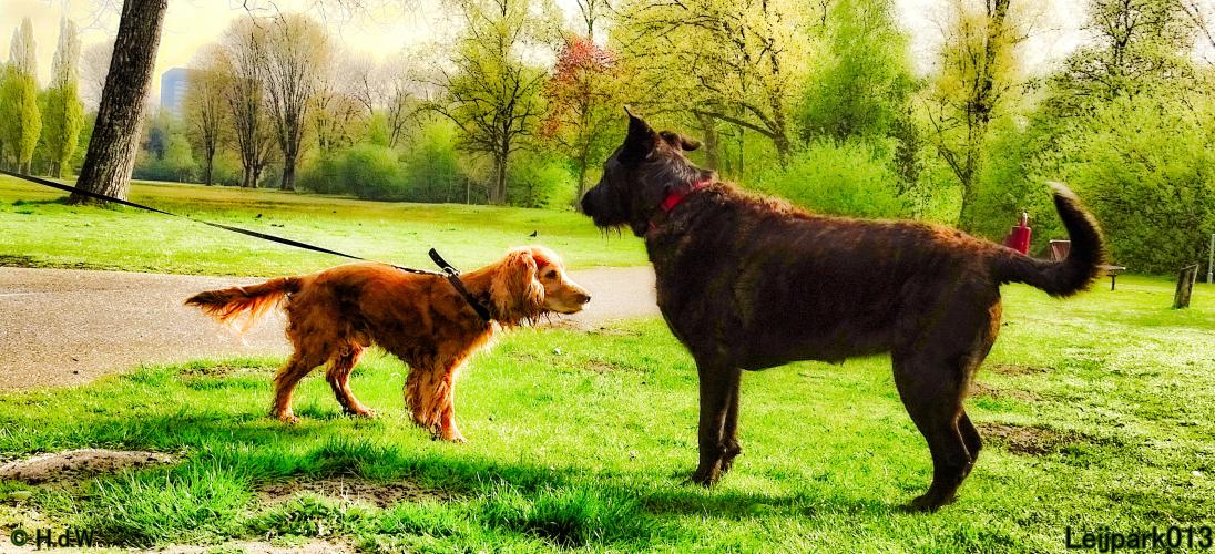 Leijpark013 Beestenboel 7 mei 2021 