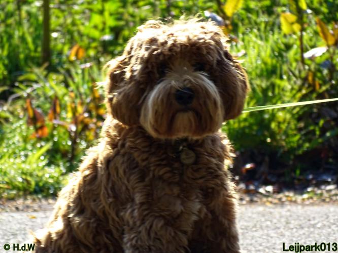 Leijpark013 Beestenboel 7 mei 2021 