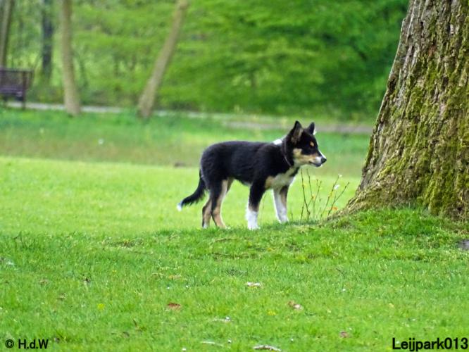 Leijpark013 Beestenboel 7 mei 2021 