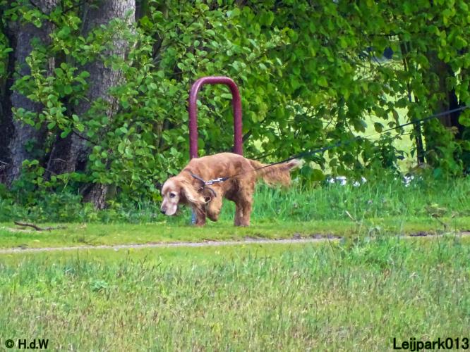 Leijpark013 Beestenboel 7 mei 2021 