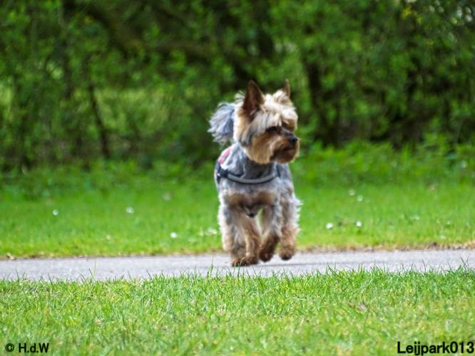 Leijpark013 Beestenboel 7 mei 2021 
