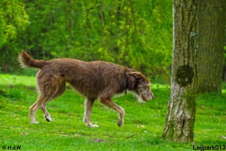 Leijpark013 Beestenboel 7 mei 2021 