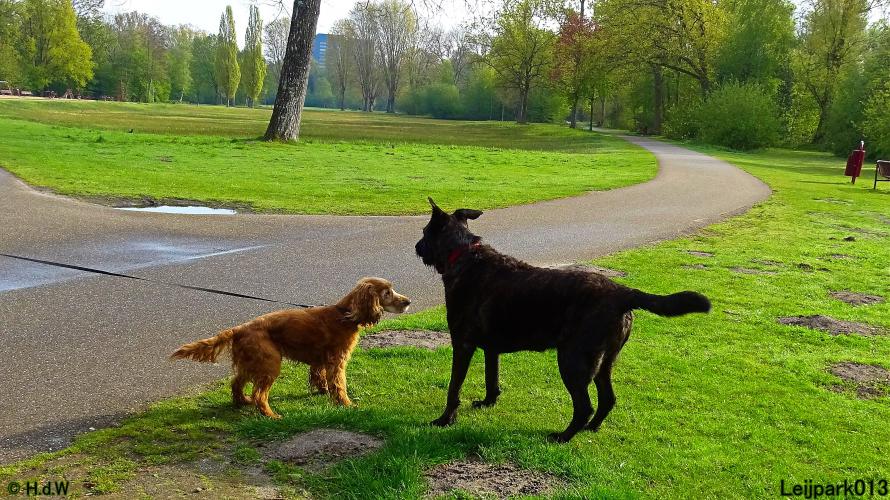 Leijpark013 Beestenboel 7 mei 2021 