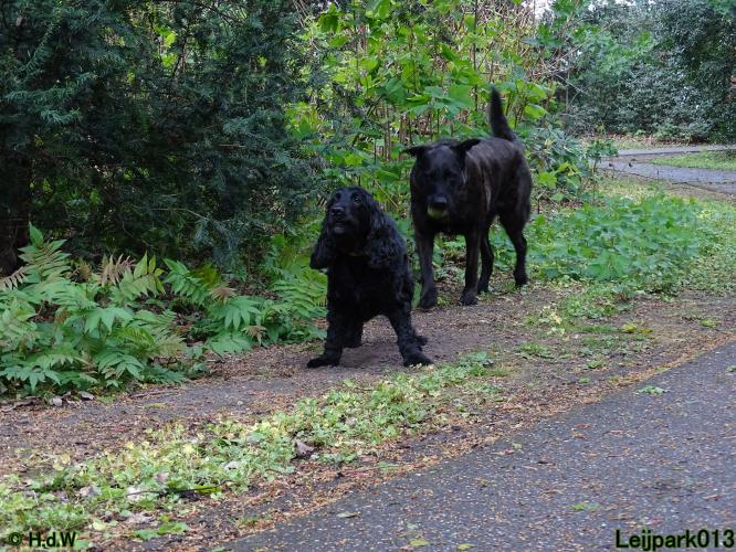 Leijpark013 Beestenboel 7 mei 2021 
