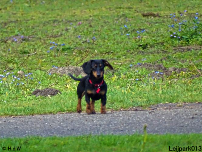 Leijpark013 Beestenboel 7 mei 2021 