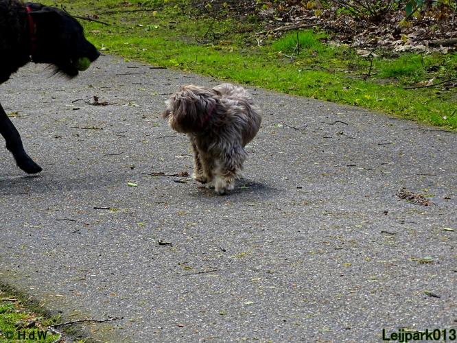 Leijpark013 Beestenboel 7 mei 2021 