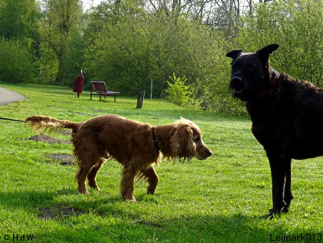 Leijpark013 Beestenboel 7 mei 2021 