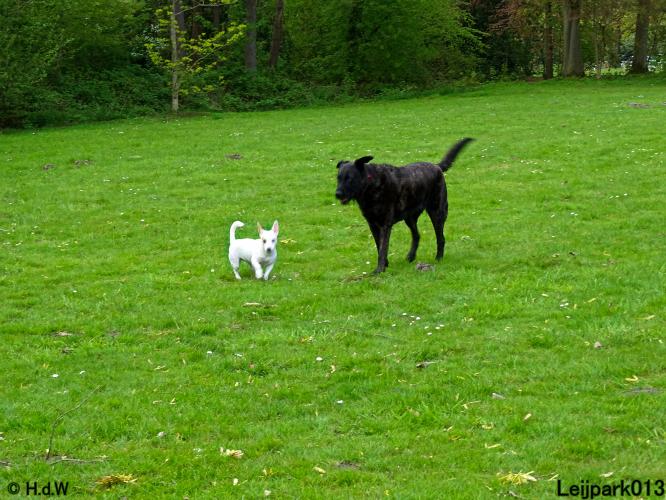 Leijpark013 Beestenboel 7 mei 2021 