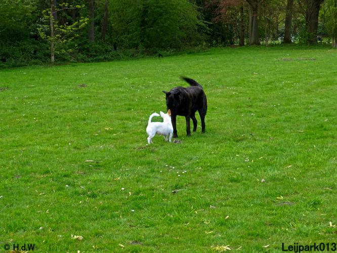 Leijpark013 Beestenboel 7 mei 2021 
