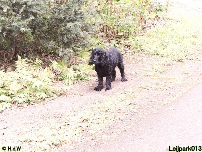 Leijpark013 Beestenboel 7 mei 2021 