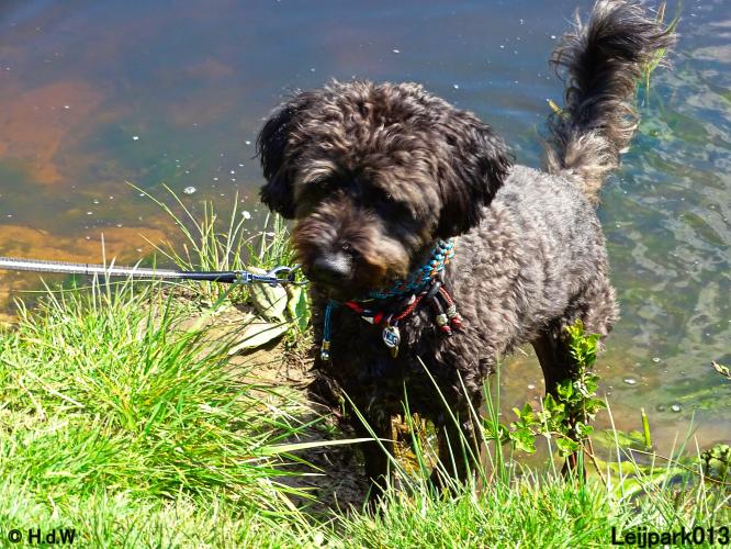 Leijpark013 Beestenboel 7 mei 2021 