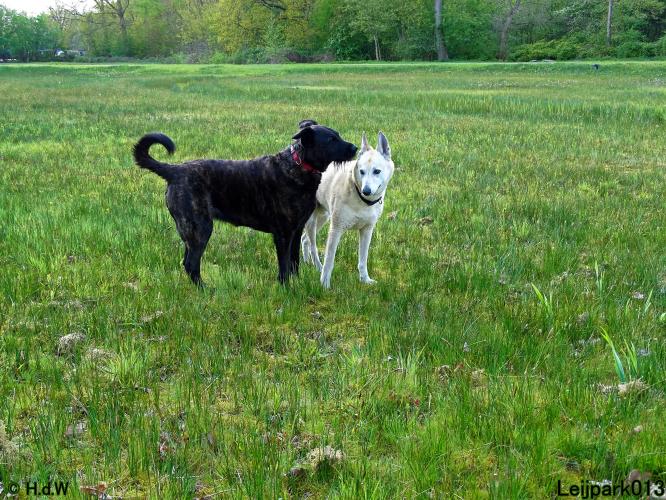 Leijpark013 Beestenboel 7 mei 2021 