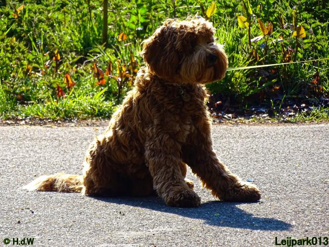 Leijpark013 Beestenboel 7 mei 2021 