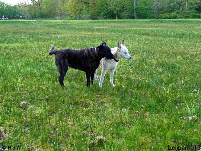 Leijpark013 Beestenboel 7 mei 2021 