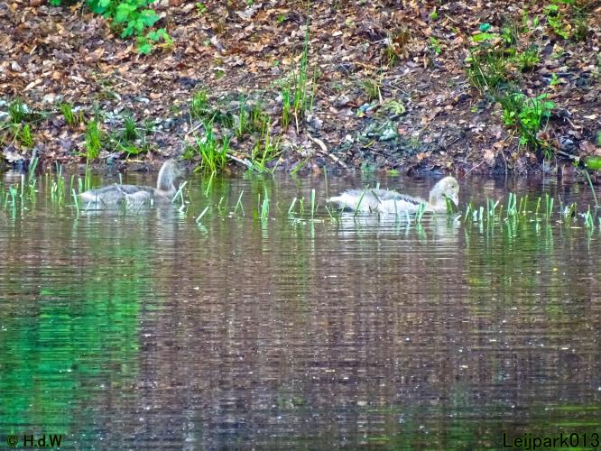 Leijpark013 15 &amp; 16 mei 2021 
