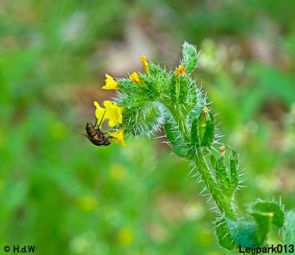 Leijpark013 15 &amp; 16 mei 2021 