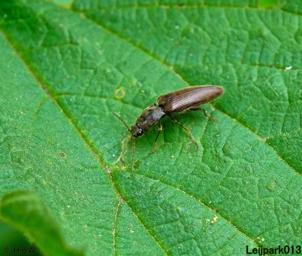 Leijpark013 15 &amp; 16 mei 2021 