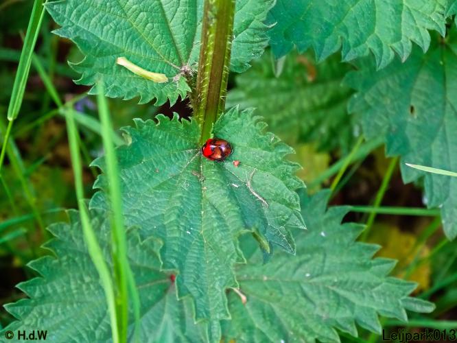 Leijpark013 15 &amp; 16 mei 2021 