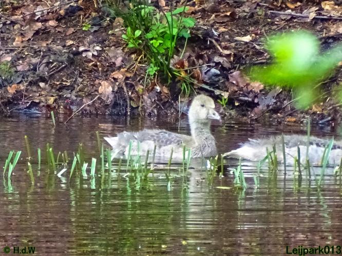 Leijpark013 15 &amp; 16 mei 2021 