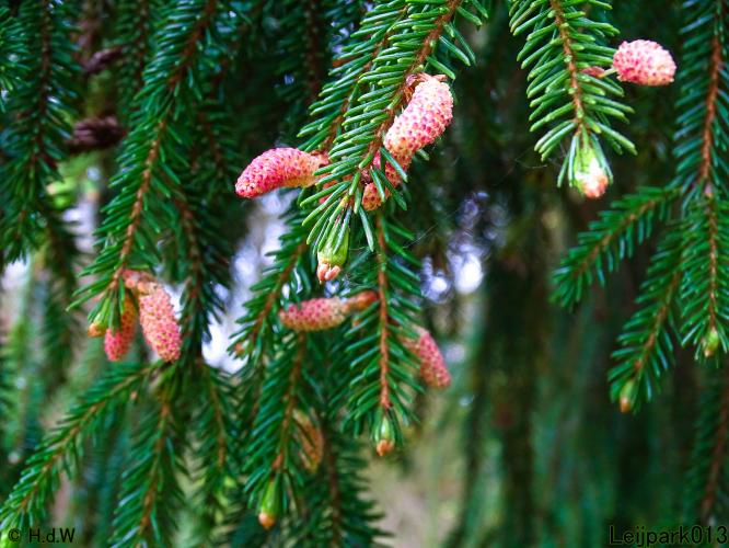 Leijpark013 15 &amp; 16 mei 2021 
