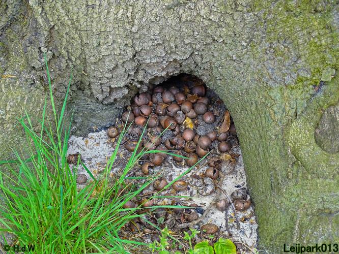 Leijpark013 15 &amp; 16 mei 2021 