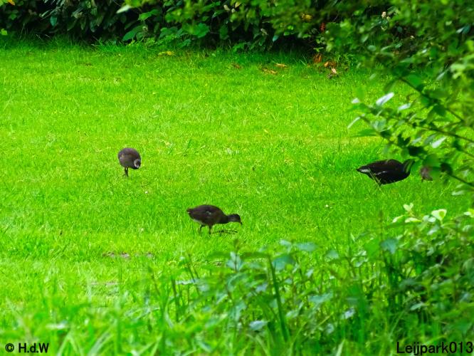 Leijpark013 15 &amp; 16 mei 2021 