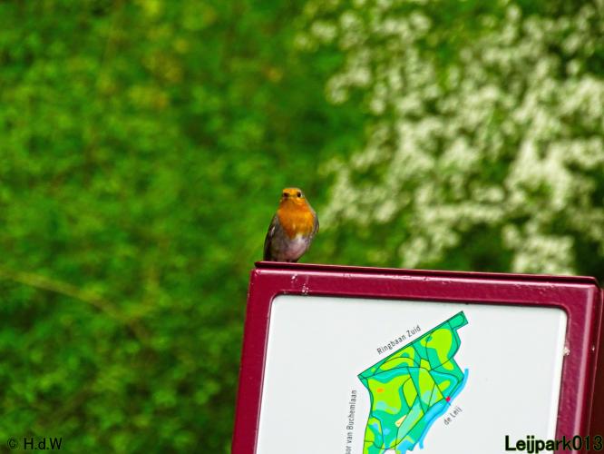 Leijpark013 15 &amp; 16 mei 2021 