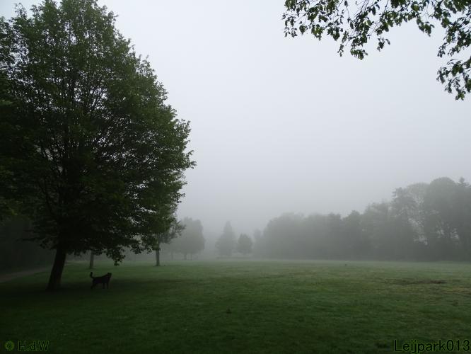 Leijpark013  20 &amp; 21 mei 2021 Er staan weer schaapjes in het park 