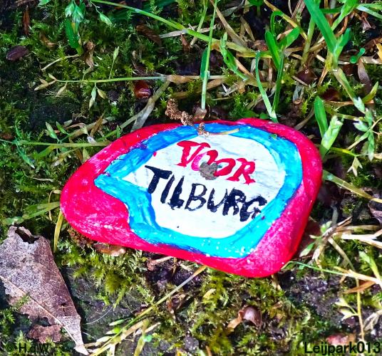 Leijpark013  20 &amp; 21 mei 2021 Er staan weer schaapjes in het park 