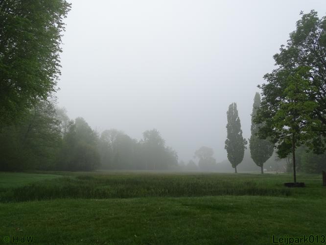 Leijpark013  20 &amp; 21 mei 2021 Er staan weer schaapjes in het park 