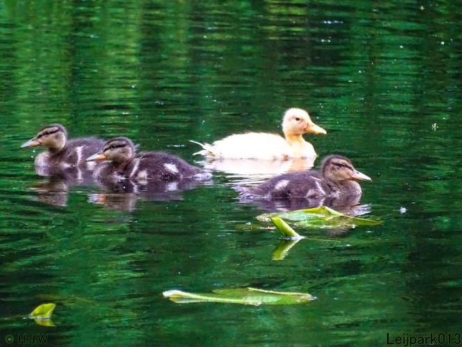 Leijpark013  25 &amp; 26 mei 2021 