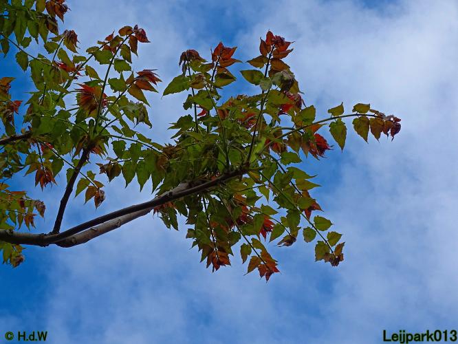 Leijpark013  25 &amp; 26 mei 2021 