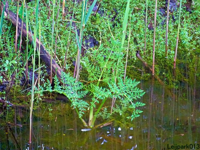 Leijpark013  25 &amp; 26 mei 2021 