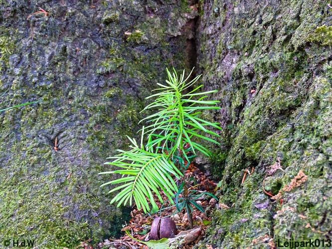 Leijpark013  25 &amp; 26 mei 2021 