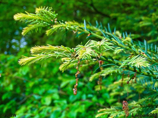 Leijpark013  25 &amp; 26 mei 2021 