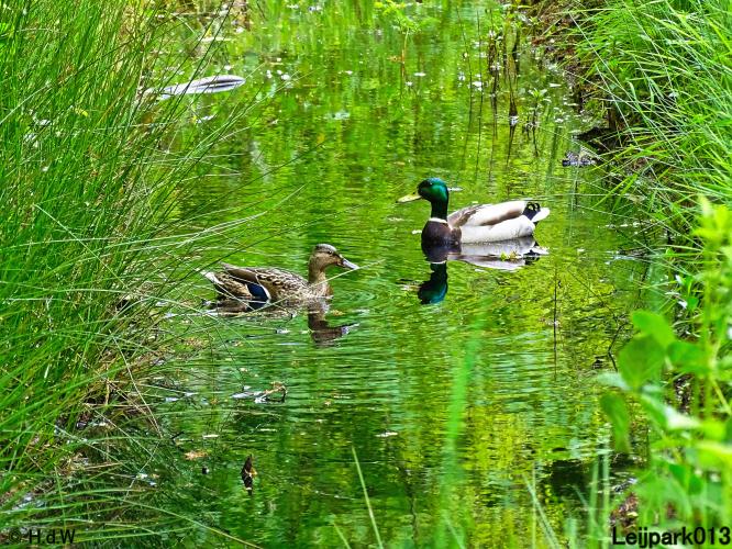 Leijpark013  25 &amp; 26 mei 2021 