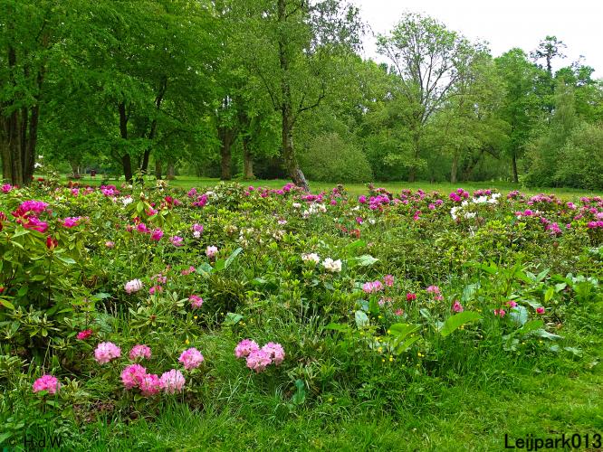 Leijpark013  25 &amp; 26 mei 2021 