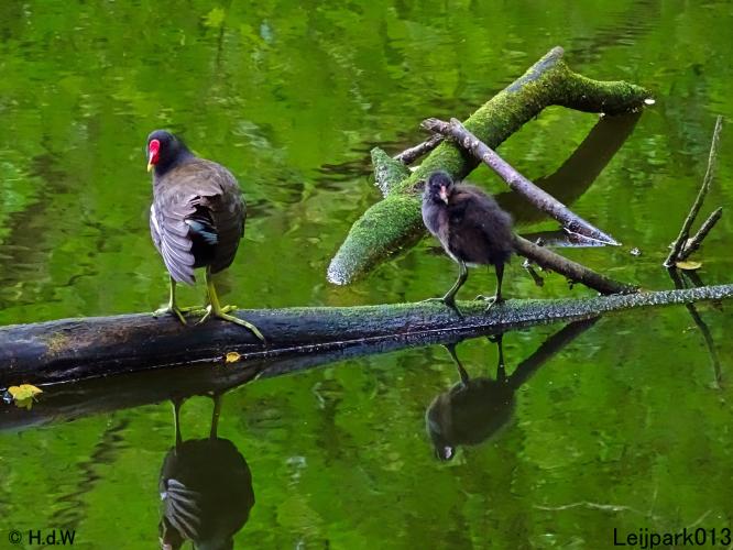 Leijpark013 6, 7 &amp; 8 juli 2021 