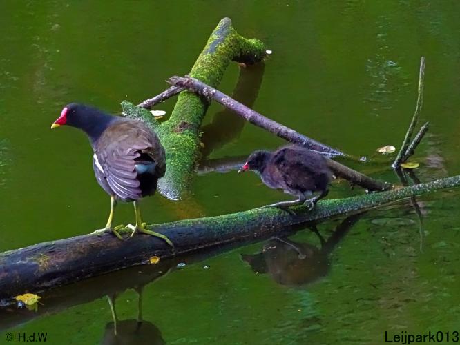 Leijpark013 6, 7 &amp; 8 juli 2021 