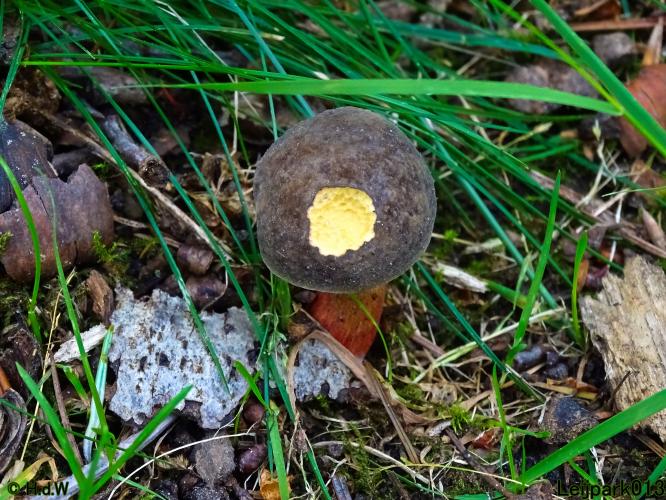 Leijpark013 6, 7 &amp; 8 juli 2021 