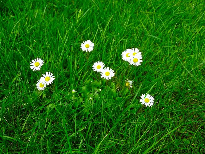 Leijpark013 6, 7 &amp; 8 juli 2021 