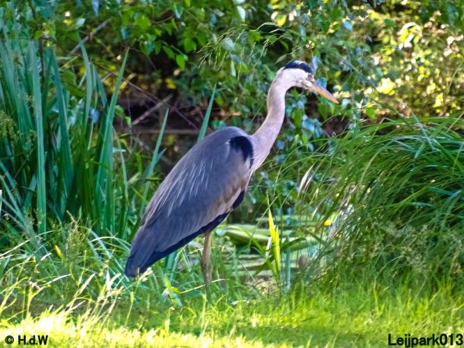 Leijpark013 10, 11 & 12 July 2021 