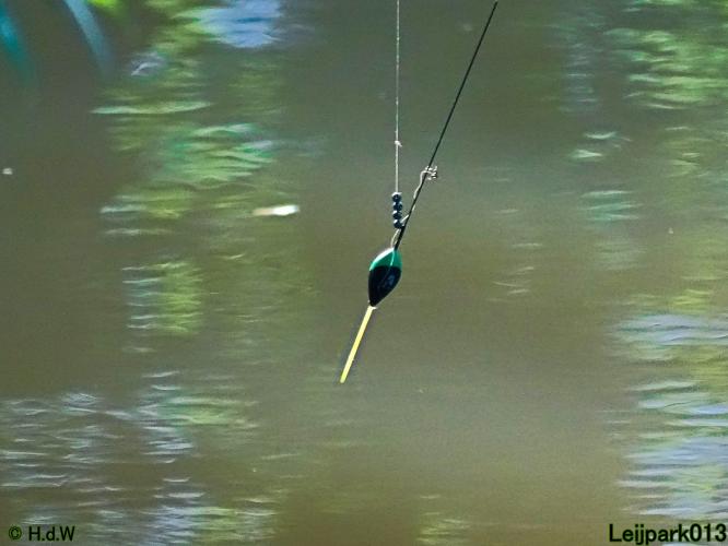 Leijpark013 10, 11 & 12 July 2021 