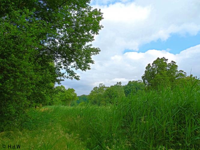 Leijpark013 10, 11 & 12 July 2021 