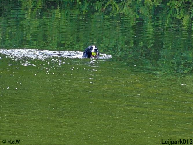 Leijpark013 12 juli 2021 Beestenboel 